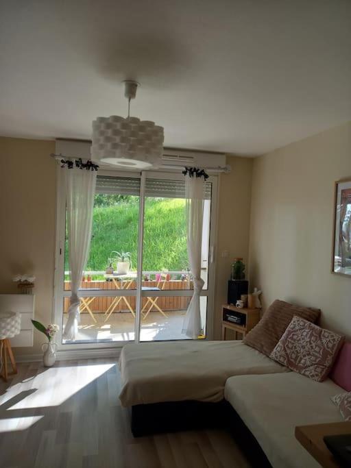 Le Doubs Cosy Apartment Besancon Exterior photo
