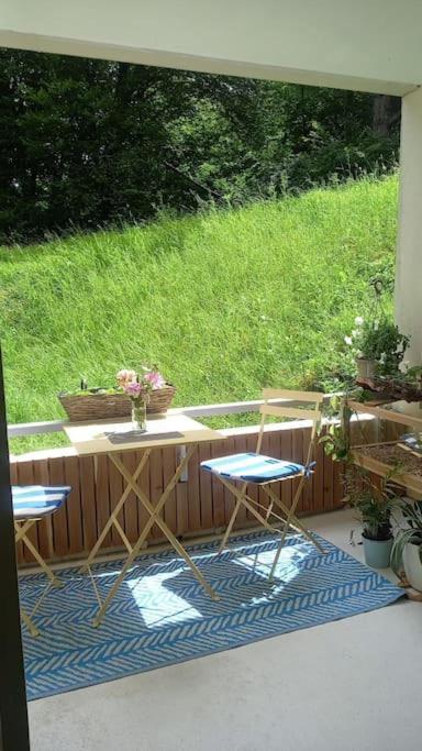 Le Doubs Cosy Apartment Besancon Exterior photo