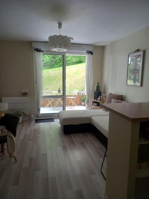 Le Doubs Cosy Apartment Besancon Exterior photo