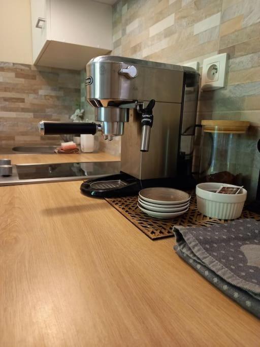 Le Doubs Cosy Apartment Besancon Exterior photo